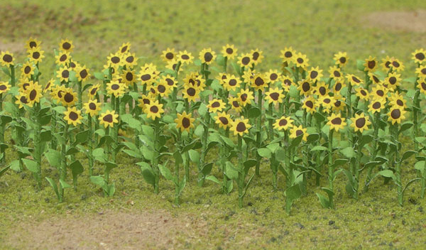 Sunflowers - Large (16 per pgk)