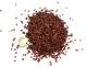 Leaf Litter - Autumn Red Leaves