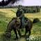 WWII German Cavalry NCO