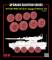 Rye Field Model M1128 MGS Stryker Sagged Wheel Set