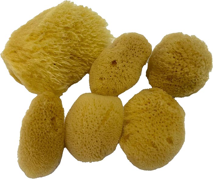 Natural Silk Weathering Sponges 