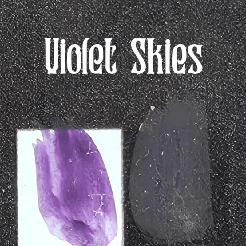 Bear Cavalry Paint Violet Skies 20 ml (29)
