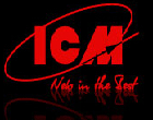 ICM Models